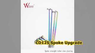 CD125 মোটরসাইকেল স্পোক সেট টুইস্টেড স্টিল